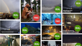 Un diseño cuidadoso puede lograr que los proyectos de investigación de interés público sean más efectivos en las redes sociales.